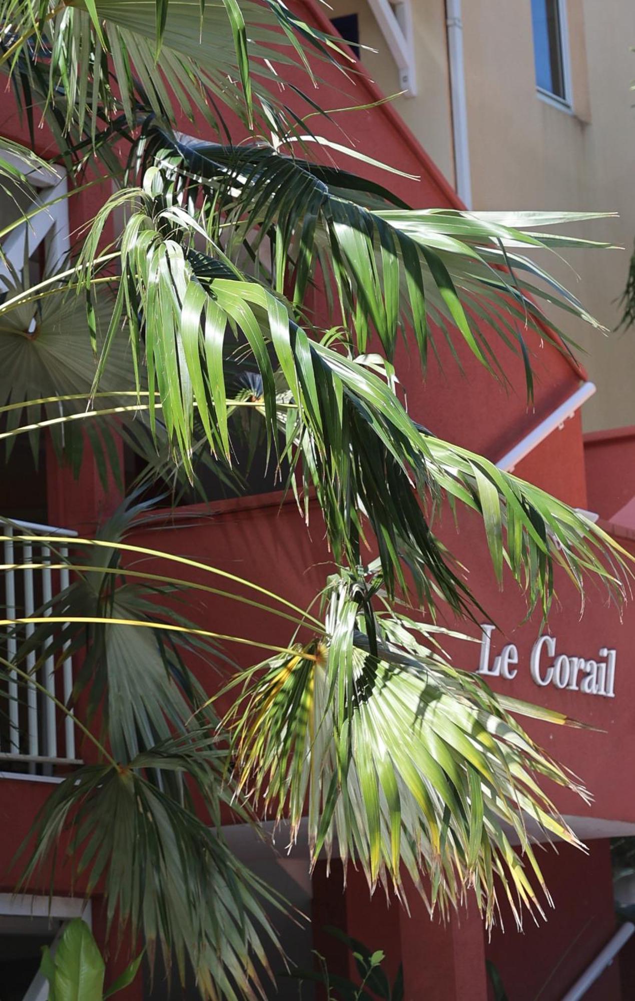 Appartement Le Coco à Le Gosier  Extérieur photo